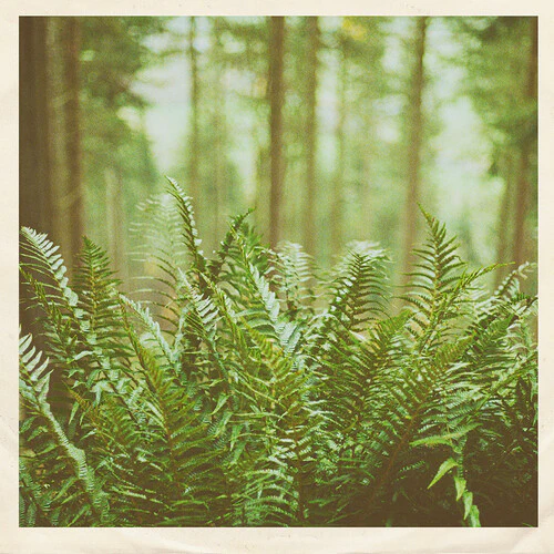 mtbrd: Just Visiting