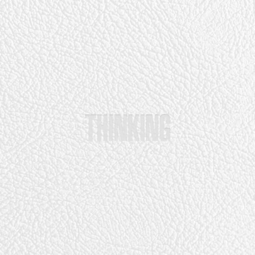 Zico: Thinking (incl. 112pg Phootbook, 2 x Postcard + 2 x Sticker)