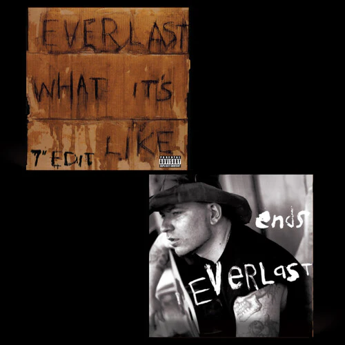 Everlast: What It's Like/Ends