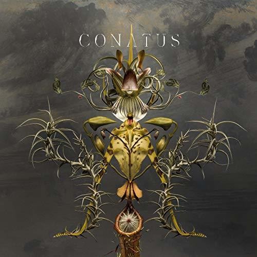 Beving, Joep: Conatus