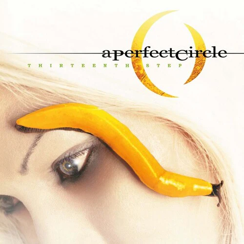 Perfect Circle: Thirteenth Step
