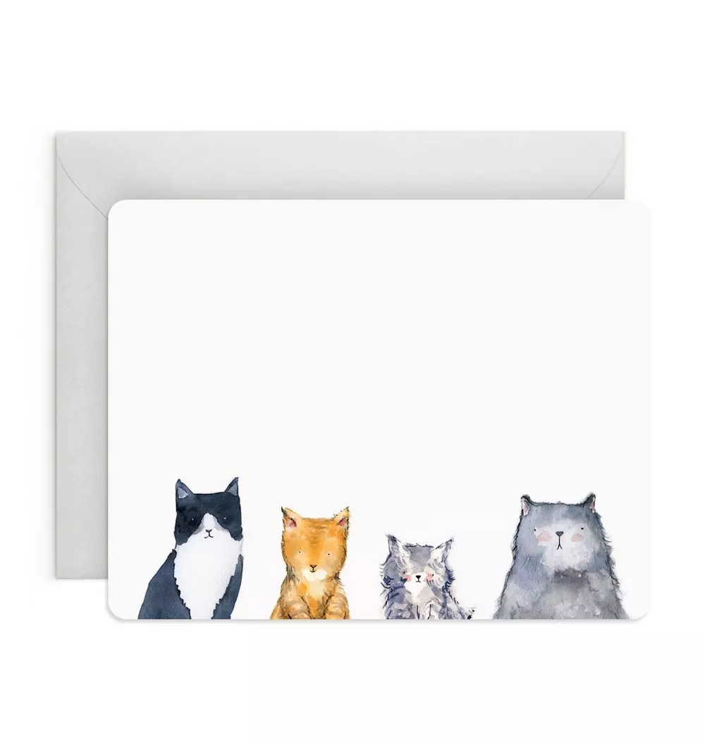 Cat's Meow Flat Notes