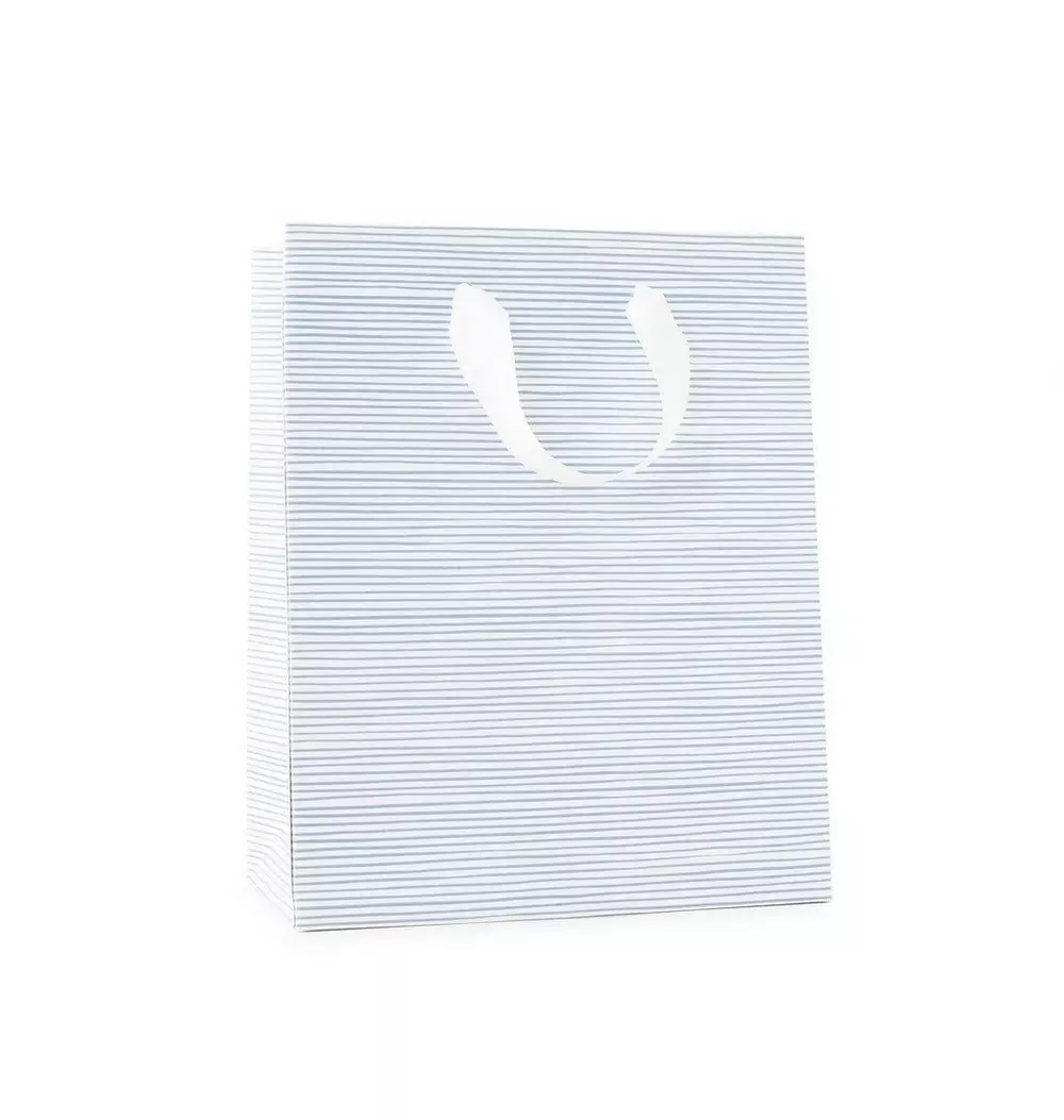 Blue Painted Stripe Gift Bag
