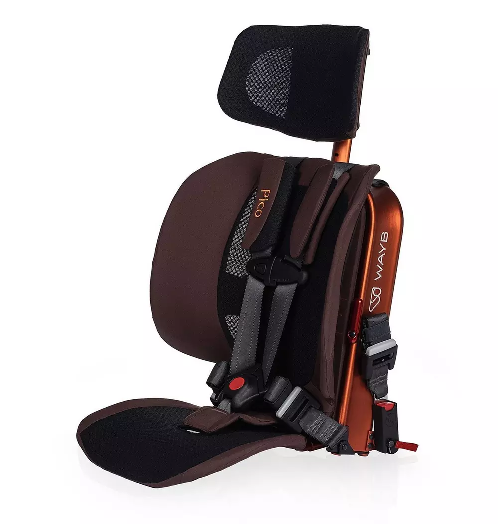 Pico Portable Car Seat