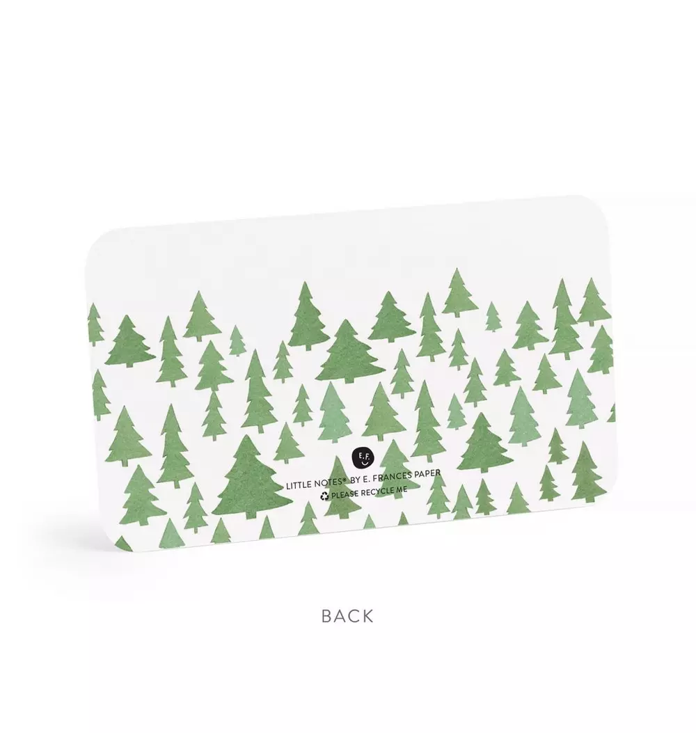 Camp Little Notes®