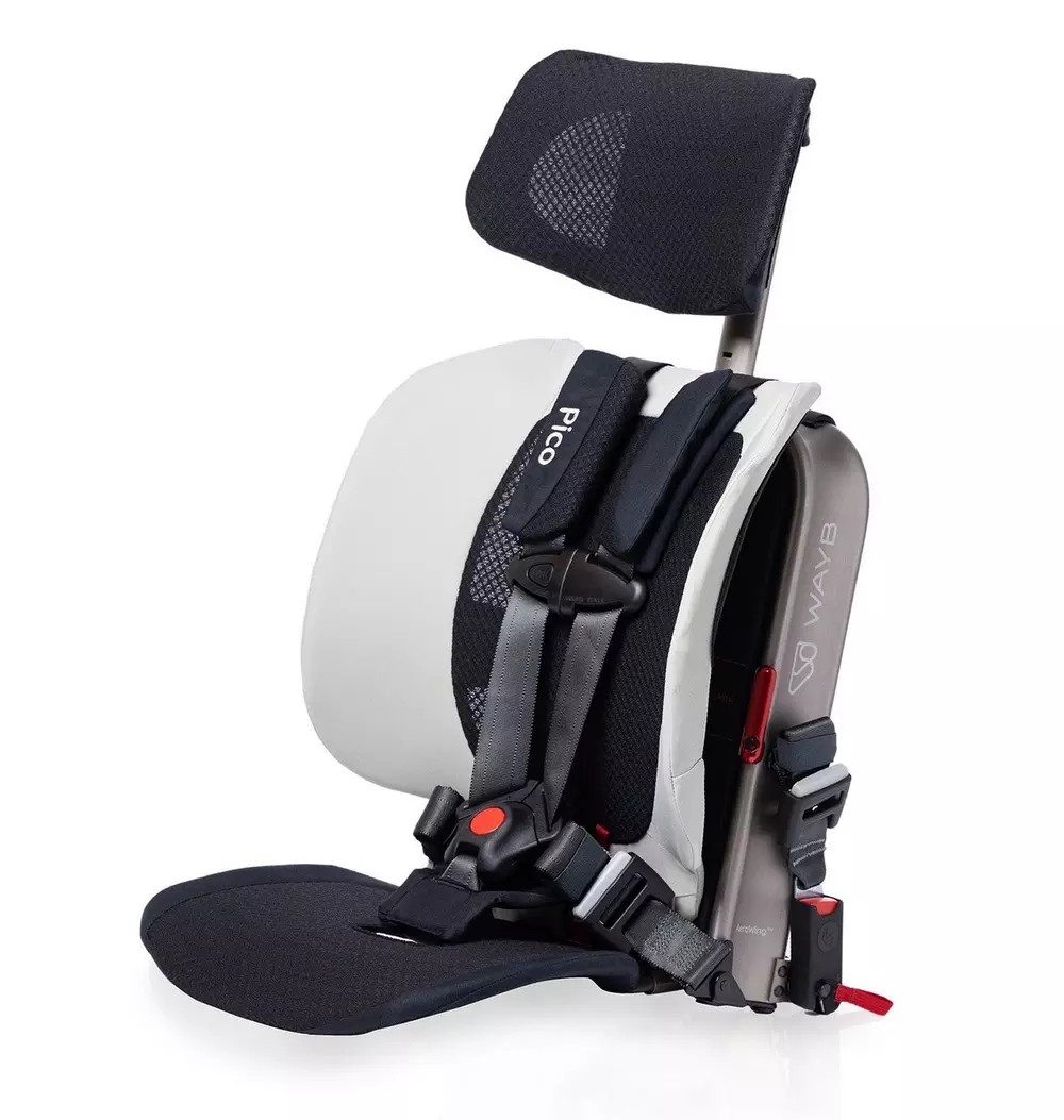 Pico Portable Car Seat