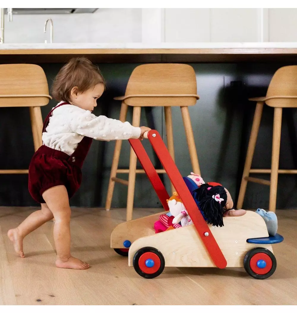 Walker Wagon Push Toy