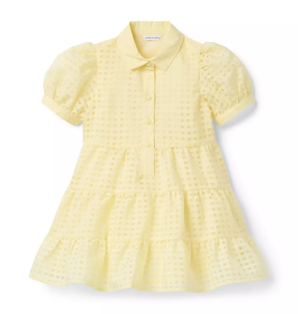 Checked Organza Dress