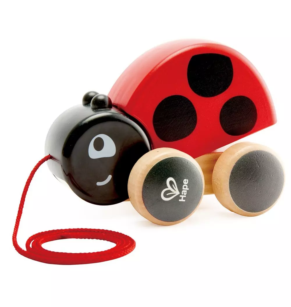 Pull Along: Ladybug