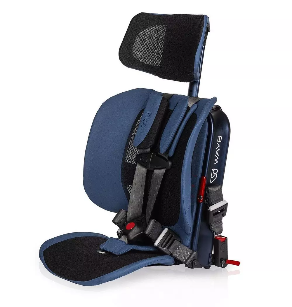 Pico Portable Car Seat