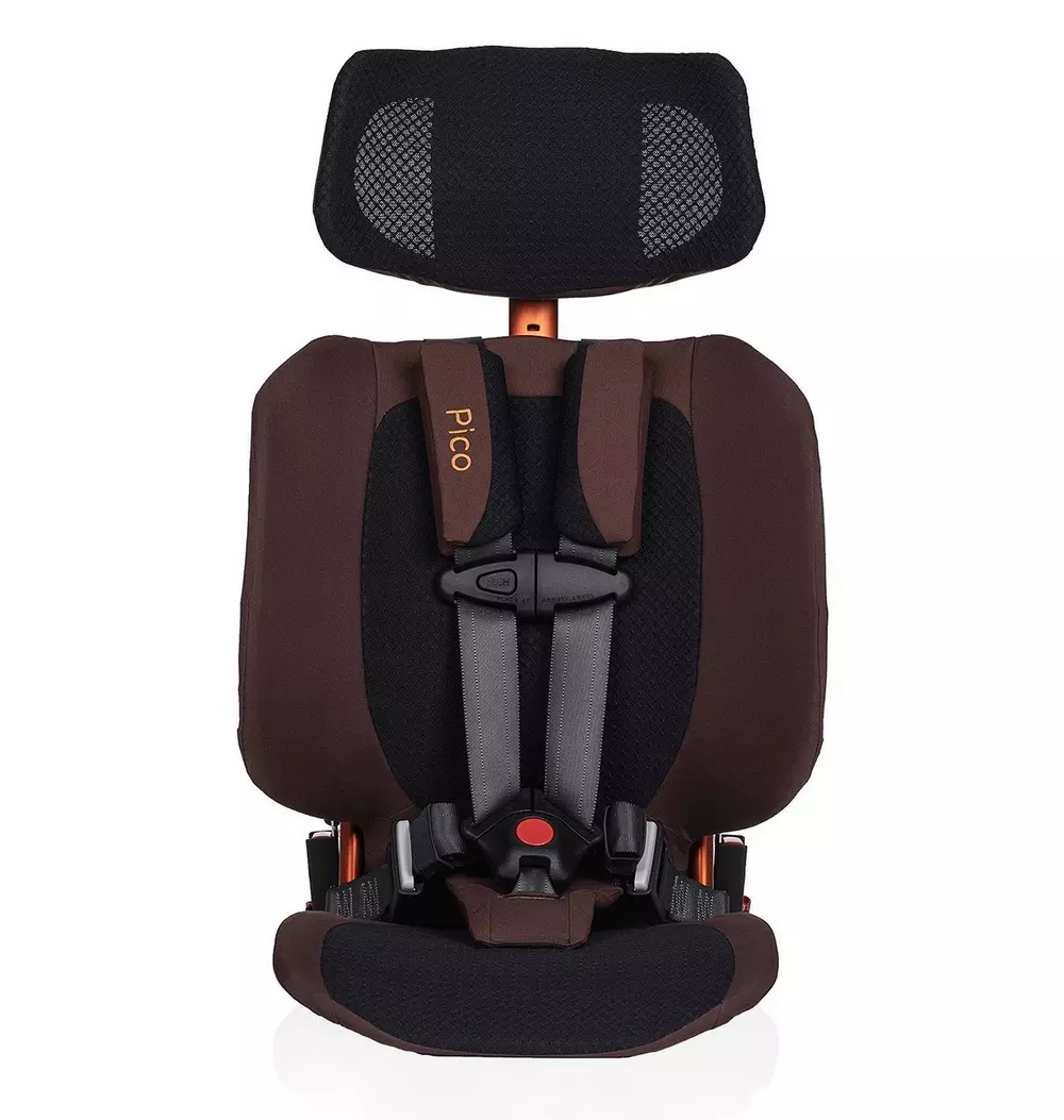 Pico Portable Car Seat