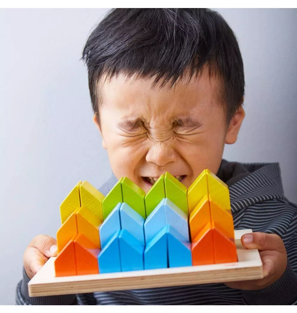 Creative Stones 3D Wooden Arranging Blocks