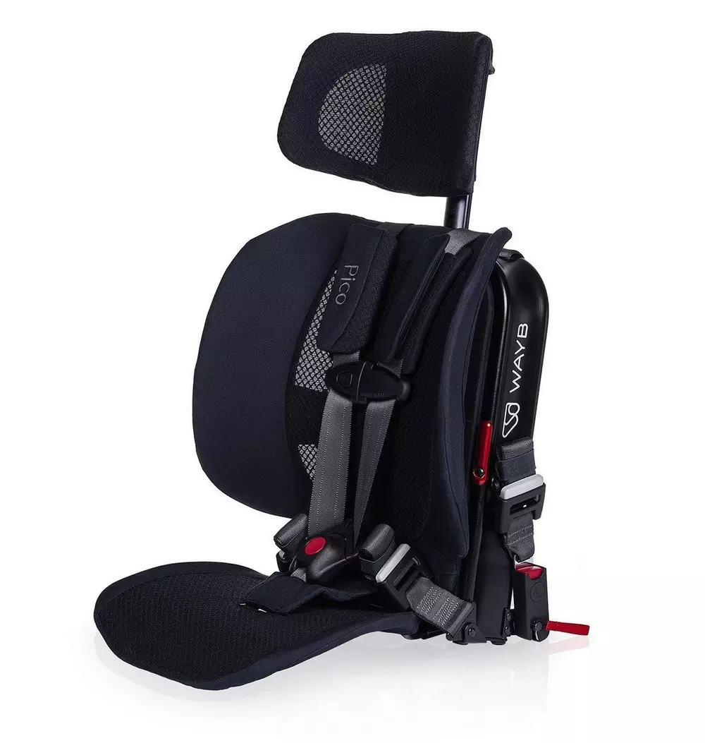 Pico Portable Car Seat