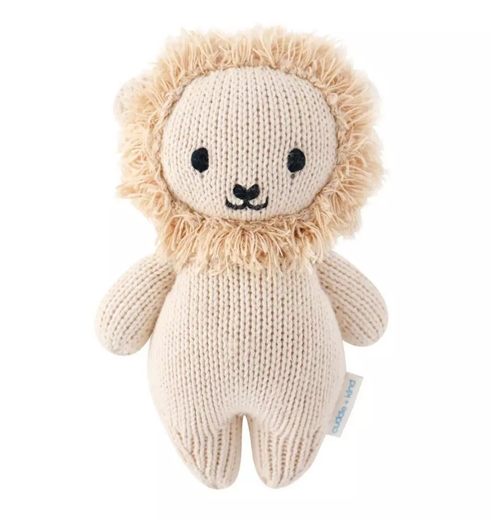 Baby lion