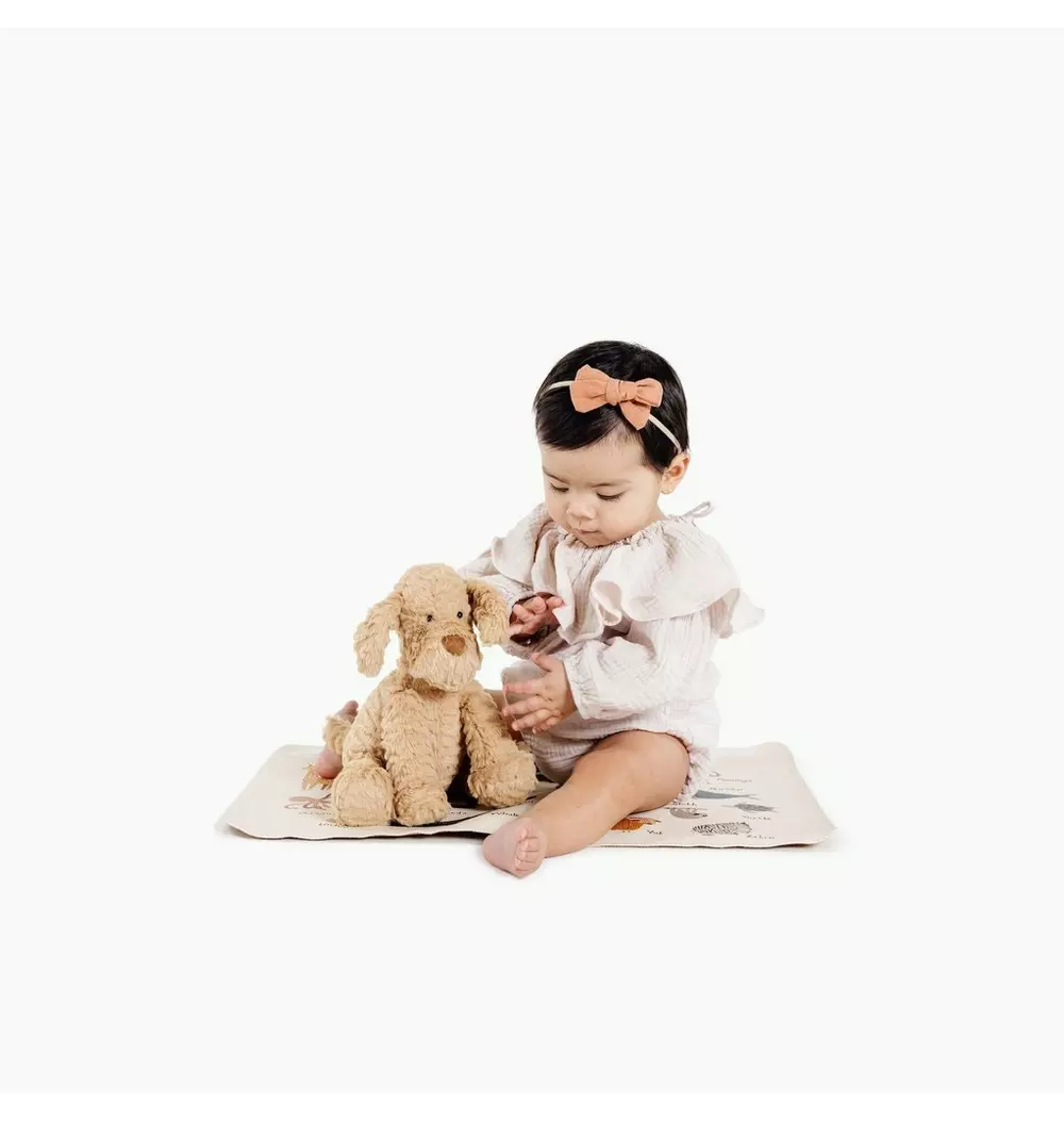 Animal Alphabet Changing Mat