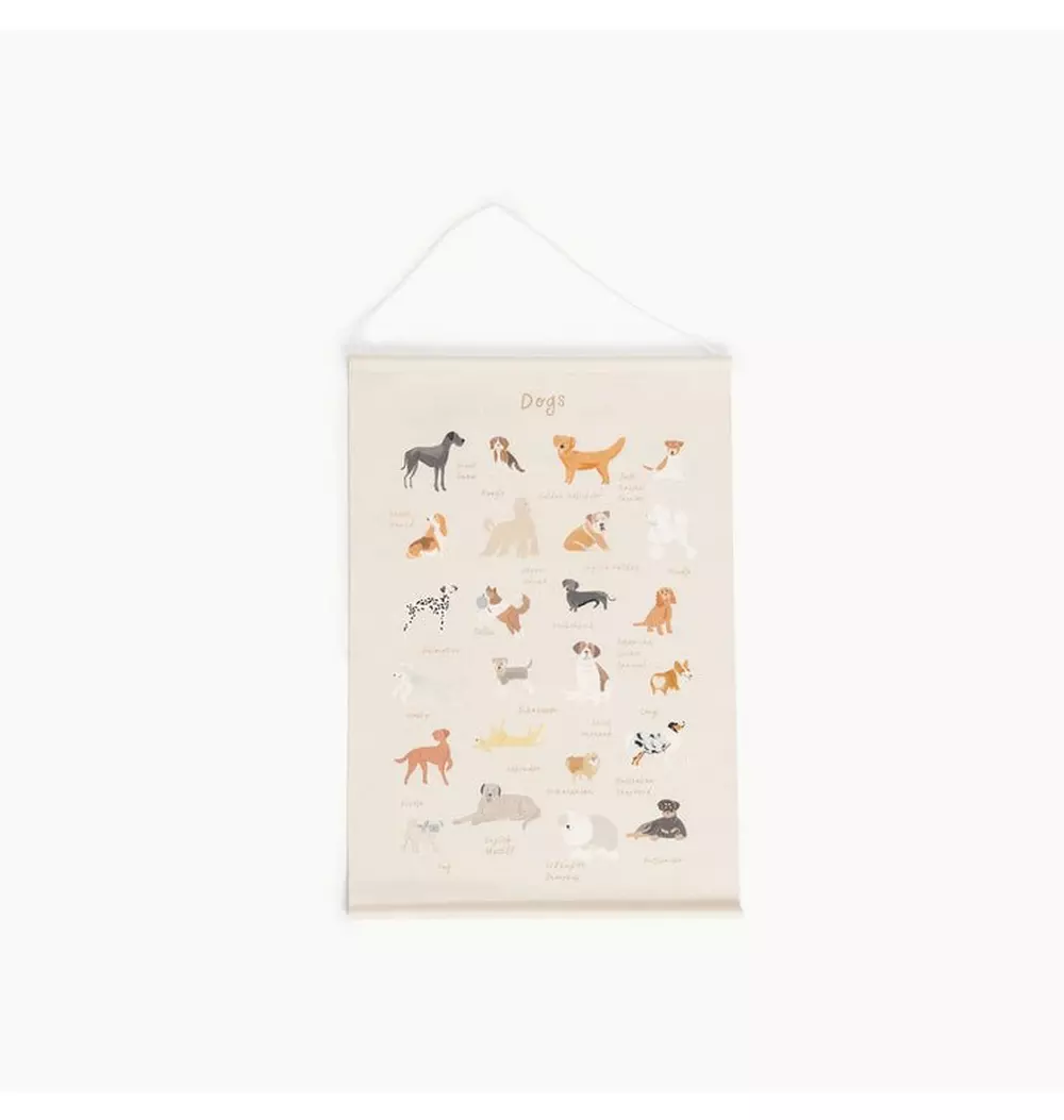 Poster - Dogs