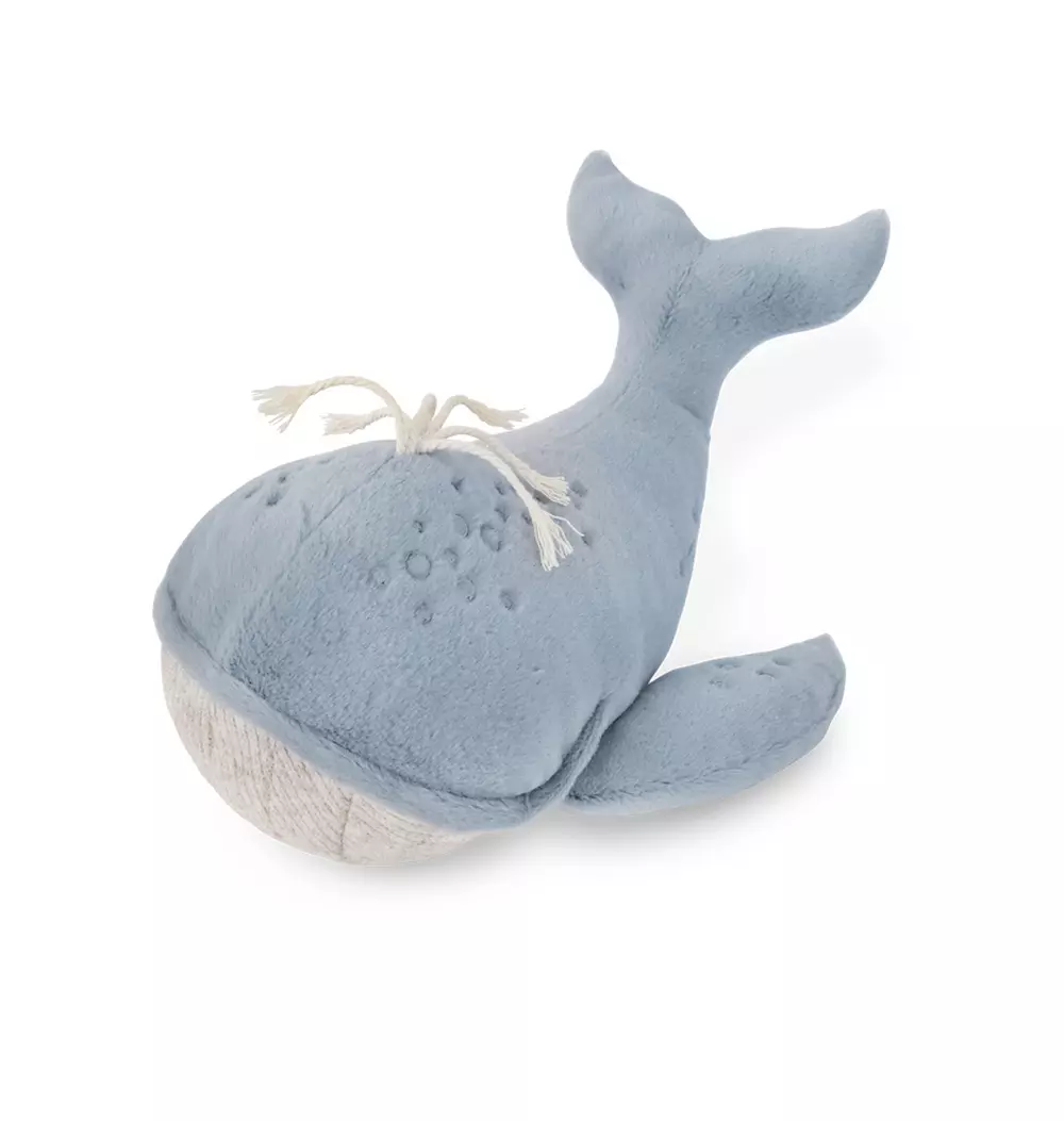 Wally the Whale
