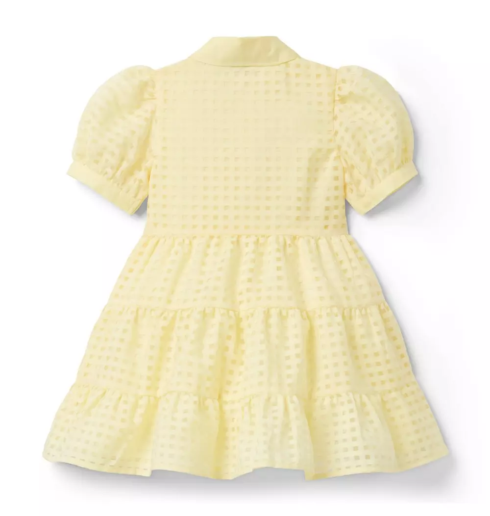 Checked Organza Dress