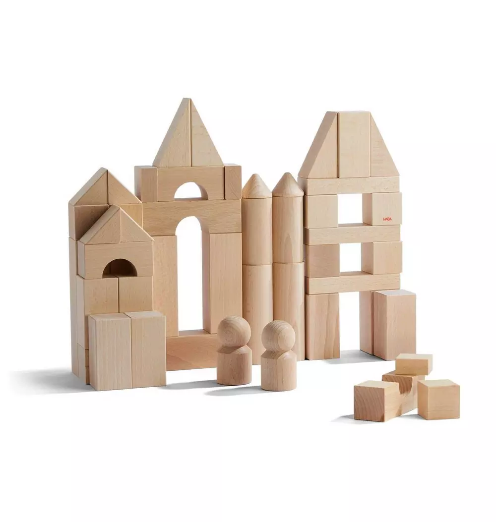 Basic Building Blocks 60 Piece Large Starter Set