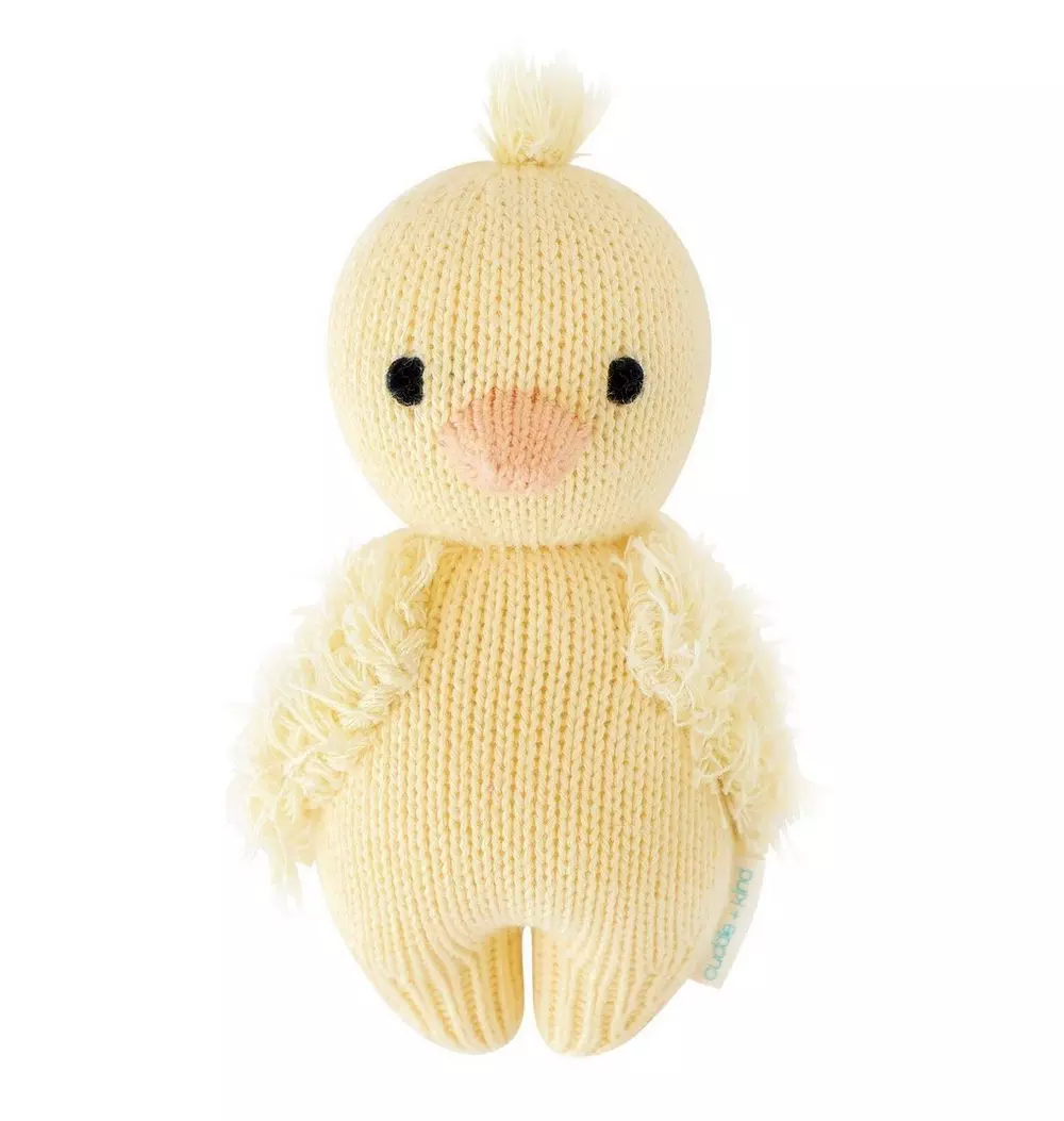 Baby duckling