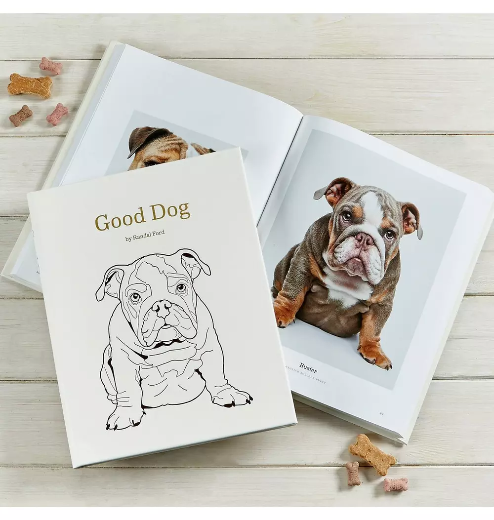 GOOD DOG LEATHER EDITION