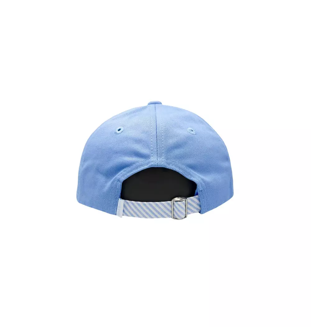 Dog Baseball Hat