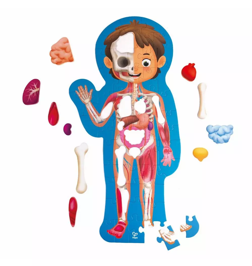 Human Body Puzzle - 60 Oversized Pieces
